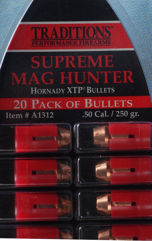 .50 Hornady SST Sabots, 250grain, 20Stk | HEGE Jagd & Sport